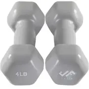 4Lb Pair Hand Dumbbell Hex Shaped Non-Slip Weights for Gym Exercise