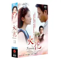 在飛比找momo購物網優惠-【弘恩影視】韓劇_火花 DVD