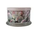 Homeworx By Harry Slatkin HINOKI WOODS & BAMBOO Multi Four Wick Candle 18 oz HTF