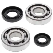 Crank Bearing & Seal Kit~2003 Yamaha YZ250 All Balls 24-1029