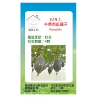 在飛比找PChome24h購物優惠-G19-1.芋香南瓜種子