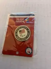 Team USA Paralympics Pin