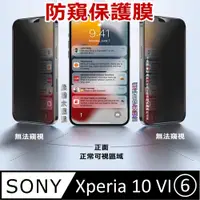 在飛比找PChome24h購物優惠-^防窺磨砂款^ Sony Xperia 10 VIあ 柔韌防