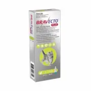 Bravecto Plus For Cats Green 1.2 - 2.8kg