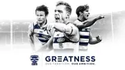 GEELONG CATS TEAM POSTER, AFL FOOTBALL,DEMONS TIGERS PIES CROWS SWANS book