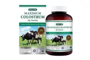 SINICARE Maximum colostrum 365 Tablets