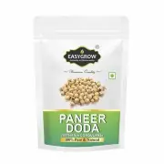 Easygrow Paneer Doda 200g Free Shipping World wide