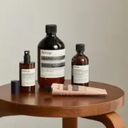 Aesop Screen 1 Elaborate Home Offering Set