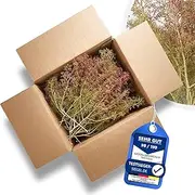 Sea Moss/Sea Foam | Bag Size 350 x 250 mm | > Oblong Growth < | Ideal for Model Building Forests | Architectural Model Building Trees Bushes Landscape & Dioramas | Cardboard 250 x 200 x 150 mm