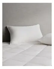 [Sheridan] Deluxe Feather & Down Latex Pillow in Snow