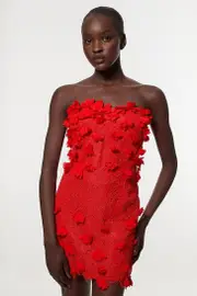 Petite Applique Lace Corset Woven Mini Dress