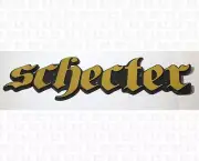 Schecter Amplification Guitar Amp Gold and Black Plastic Name Plate Badge Large