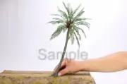Vietnamese Coconut tree (15 in) for diorama 1:35 ProBuilt Model (Scratchbuilt)