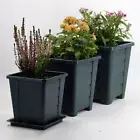 Concise Plastic Bottom Tray Flower Pots Succulent Box Plant Pot Planter