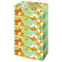 在飛比找松果購物優惠-五月花 親肌感盒裝面紙180抽x5盒x10袋 (7.2折)