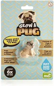 Grow Your Own Pug - Just Add Water!
