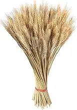 Wheat Dried Wheat Grass Decoration Long Dried Flowers Boho Decoration I Dried Flowers Decoration Dried Wheat Flowers for Wedding Centrepieces Home Balcony Party Table Vase Christmas