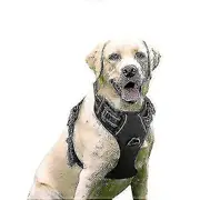 Rabbitgoo Dog Harness, No-pull Pet Harness With 2 Leash Clips, Adjustable Soft Padded Dog Vest XL