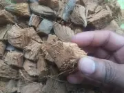 Coconut Husk Chips Orchids Anthurium Growing Dry Organic Media Fiber Coir 1KG