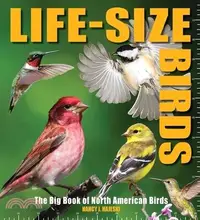 在飛比找三民網路書店優惠-Life-Size Birds: The Big Book 