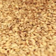 1kg Joe White Light Crystal Malt EBC 100-140 Home Brew Beer Whisky Making
