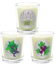Qualitas Candles 3pc Candle Set - Fig Tree, Lavender, & Black Currant