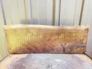 Black Walnut Mantle Shelf Rough Cut 1/4 log DIY Chunk Floating Rustic Country