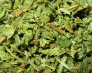 PREMIUM WILDCRAFTED DAMIANA HERB TEA. KILO.