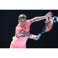 在飛比找蝦皮購物優惠-Nike Dimitrov 迪米 2018澳網球衣 Tenn