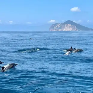 【龜山島賞鯨趣】宜蘭龜山島賞鯨趣 平假日可使用 登島＋環繞龜山島八景（二合一）歐享券(玩樂/生活券)