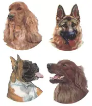 Dogs Setter Alsatian Cocker Spaniel Boxer 4 pcs 2 Inch Waterslide Ceramic Decals