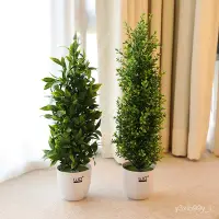 在飛比找蝦皮購物優惠-【家具裝飾擺件】wo+北歐風仿真植物盆栽 聖誕樹假樹松塔樹盆