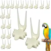 Parrot Fruit Fork, 20PCS Parrot Fruit Vegetable Skewer Bird Skewer Food Holder, Small Bird Food Treats Food Skewers for Small Birds Animals