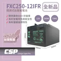 在飛比找蝦皮商城優惠-【YUASA】FXC250-12IFR 儲能深循環型電池 儲