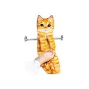 Cute Cat Quick-Dry Hanging Hand Towels Decorative for Bathroom Kitchen-Orange