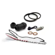 Kawasaki Vulcan S SE AGFA 2016 rear brake caliper seal rebuild repair kit EN650
