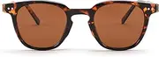 [FEISEDY] Classic Small Round Polarized Sunglasses for Women Men Retro Style B0002