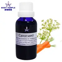 在飛比找Yahoo奇摩購物中心優惠-Body Temple 胡蘿蔔籽芳療精油(Carrot Se