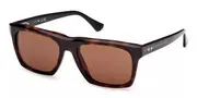 Web WE0350 55E Men's Sunglasses Tortoiseshell Size 55