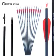 Archery 28"/30"/31" Carbon Arrows For Recurve bow & Compound bow hunting arrows