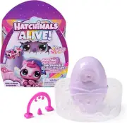 Rainbow Splash Fizzy Color Surprise Toy Hatchimals Alive Hatch Twins Triple Egg