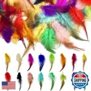 800pcs Colorful Feathers 16 Colors Craft Feathers Bulk Chicken Feathers for K