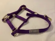 Purple Nylon Foal Halter with Quality Brass Hardware, Fits 100 - 200 lb. FOALS