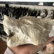 Natural unknown Quartz Carved Crystal tiger Skull Reiki Decor 1pc
