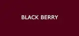 Palladio Retractable Lip Pencil - Black Berry
