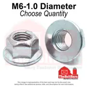 M6-1.0 Class 8 Hex Flange Top Lock Nuts Zinc Clear Coarse Thread (Pick Qty)