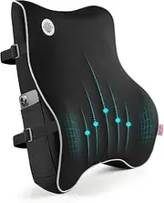 Lumbar Support Pillow,Memory Foam Back Support for Office Chair,Computer Chair,Car Seat,Recliner and Couch with Breathable 3D Mesh Cover,Ergonomic Design Orthopedic Backrest (Black)
