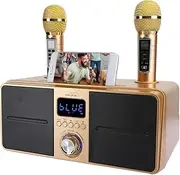 Bewinner1 KTV Kit Bluetooth Karaoke Speaker, Karaoke Equipment with Double Microphone for Home, AUX USB Universal Video Multi-Purpose Device for Phone/Tablet/PC, 2 Wireless Karaoke Microphones