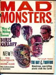 MAG: Mad Monsters #6-Fall 1965-Charlton-Karloff-Eric Fleming-Day of Triffids-...