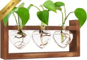 Plant Propagation Station with Wooden Stand 3 Heart Glass Vases Hydroponic Decor